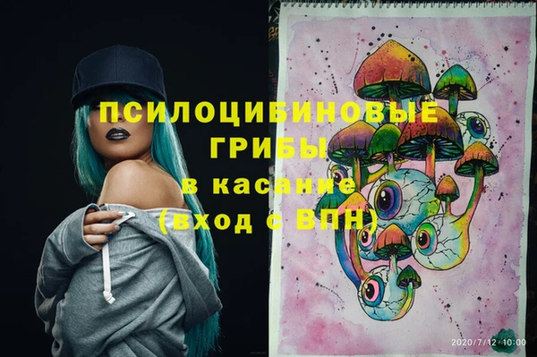 шишки Верхнеуральск