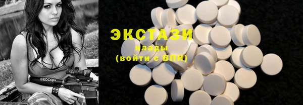 сатива Бородино